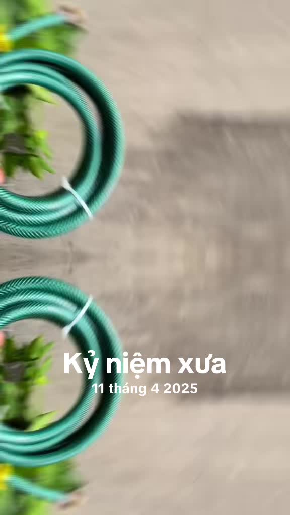 @Thiết Bị Vệ Sinh TH
