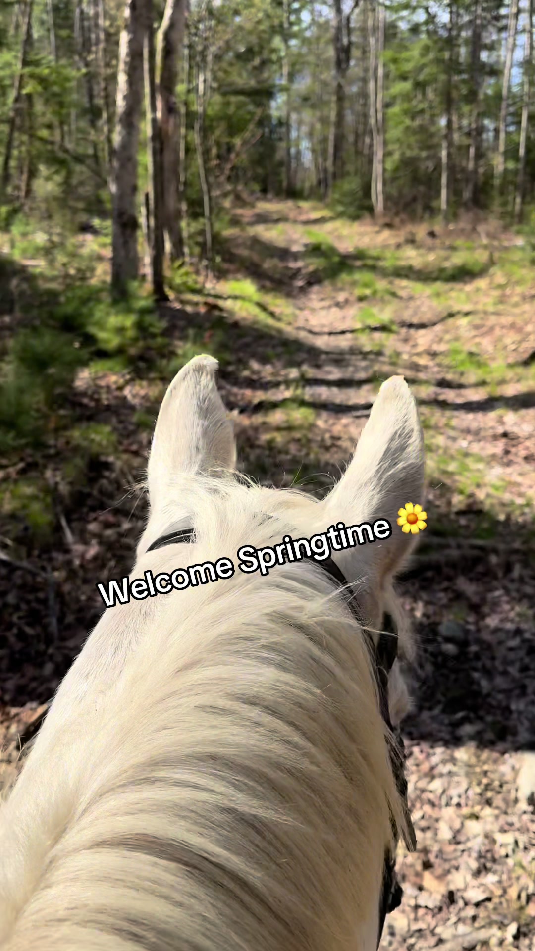 @horseadventurist