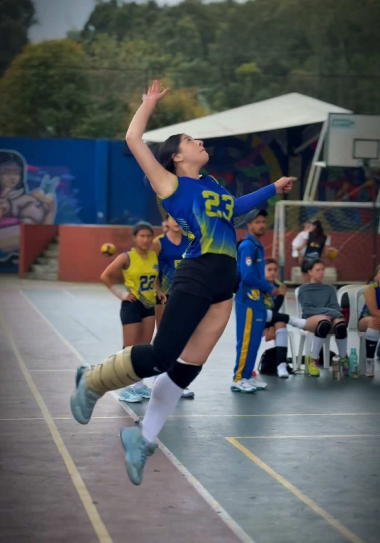 @Isabella Amaya Volley 23