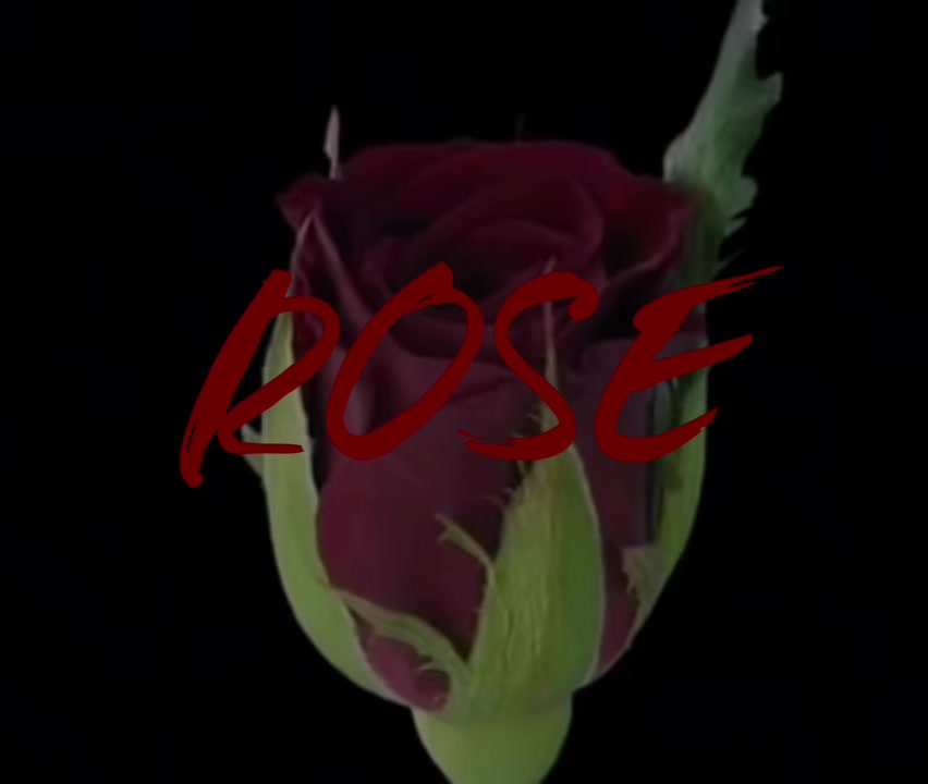 @🎧