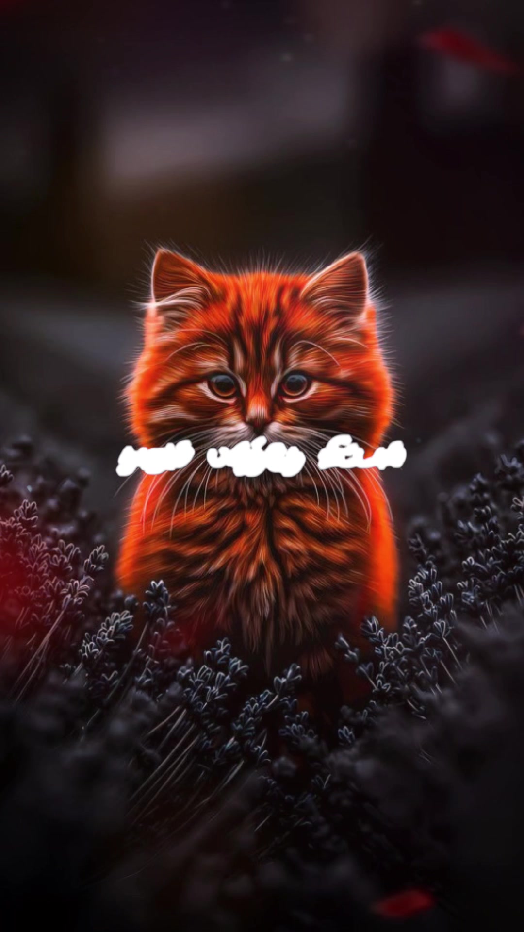 @𝕸𝖚𝖓𝖘𝖆𝖓 𝖔𝖋𝖋𝖎𝖈𝖎𝖆𝖑