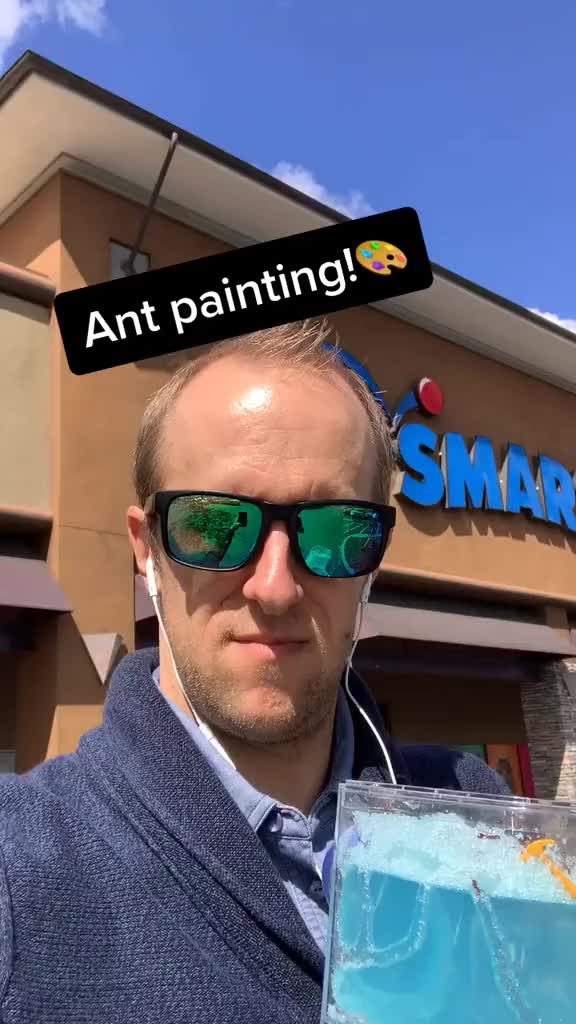 @The Ants!