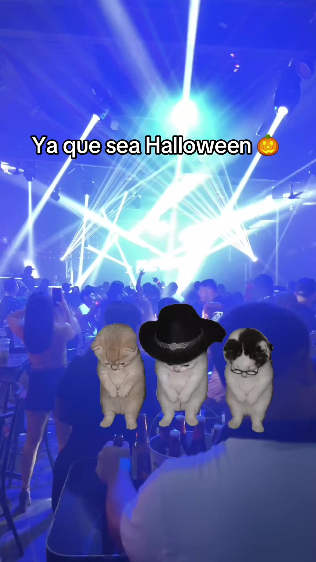 @Ed Castillo