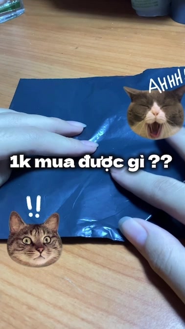 @𝐁𝐢𝐧𝐡𝐳✰