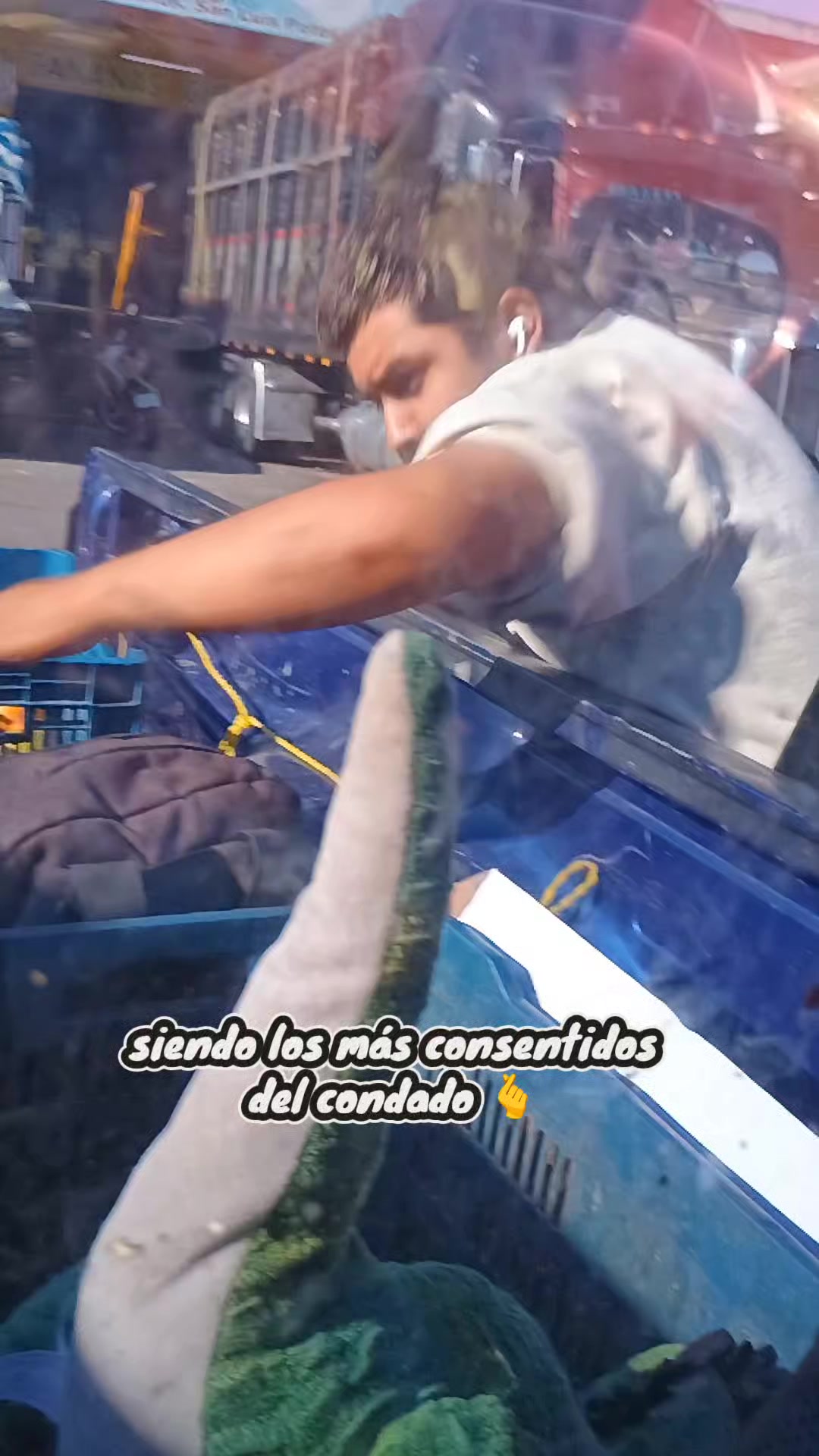 @Conecta-dos