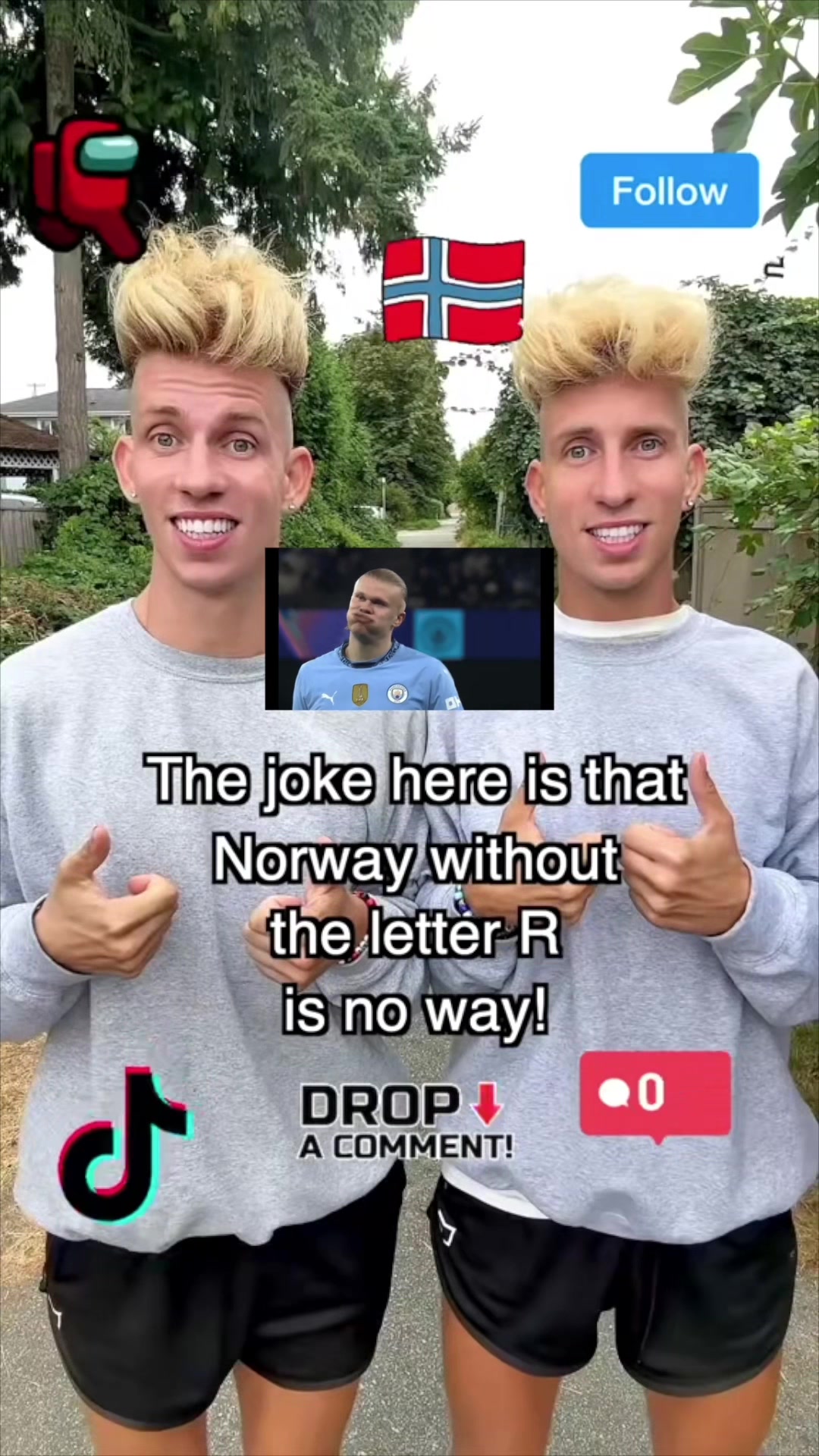 @vorostwins