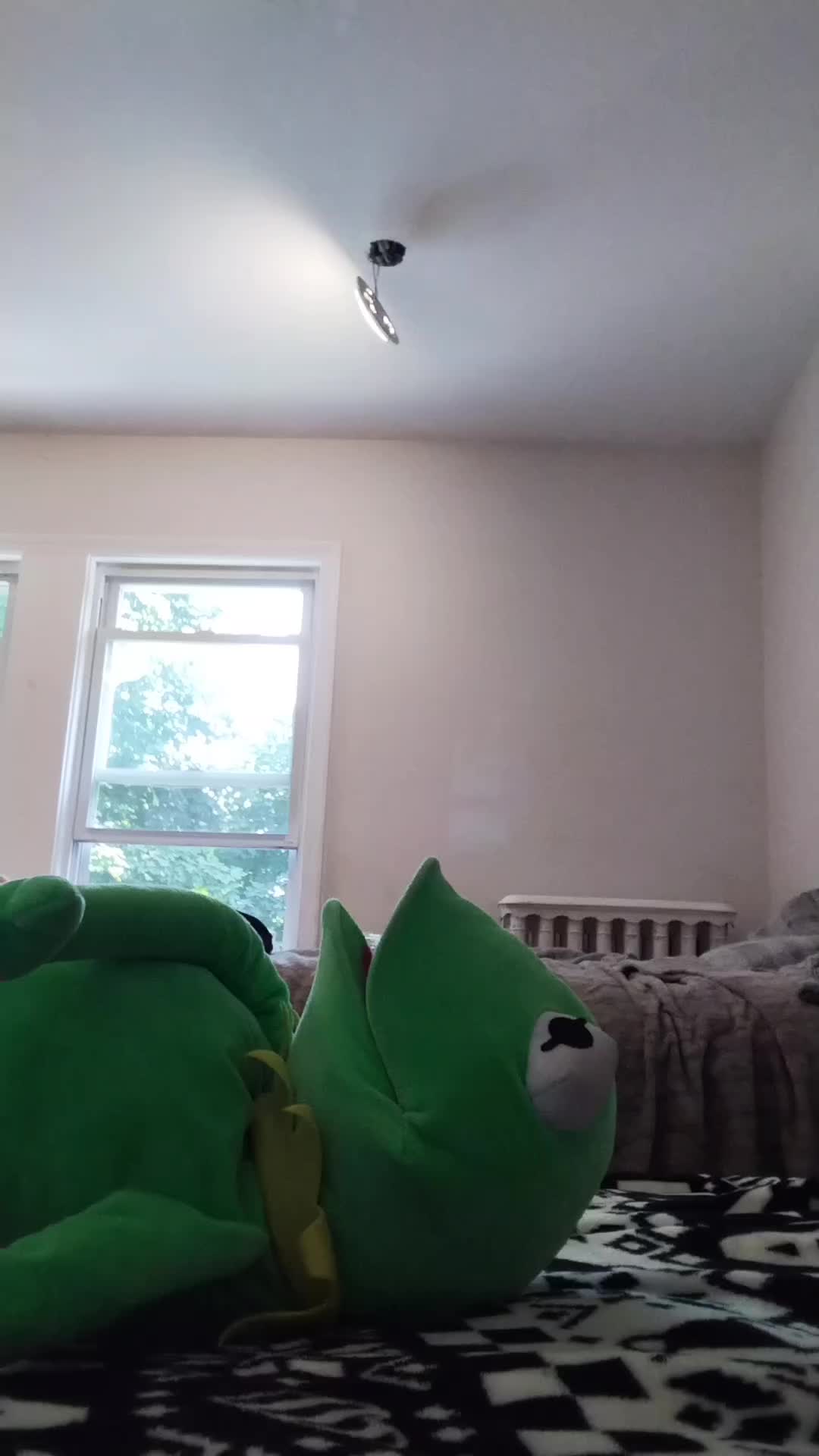 @Kermit The Frog Tiktok