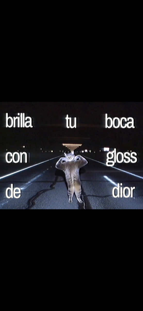 @jason