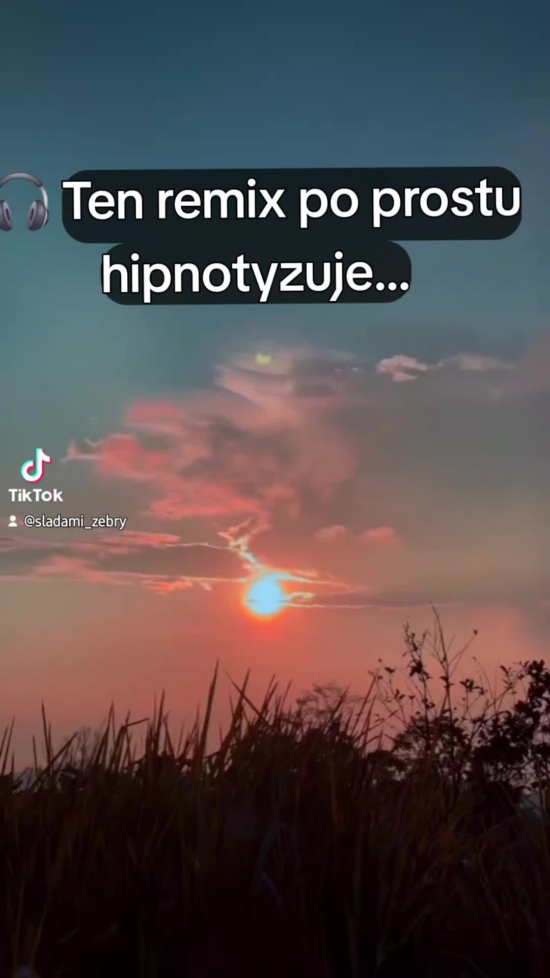@Śladami Zebry