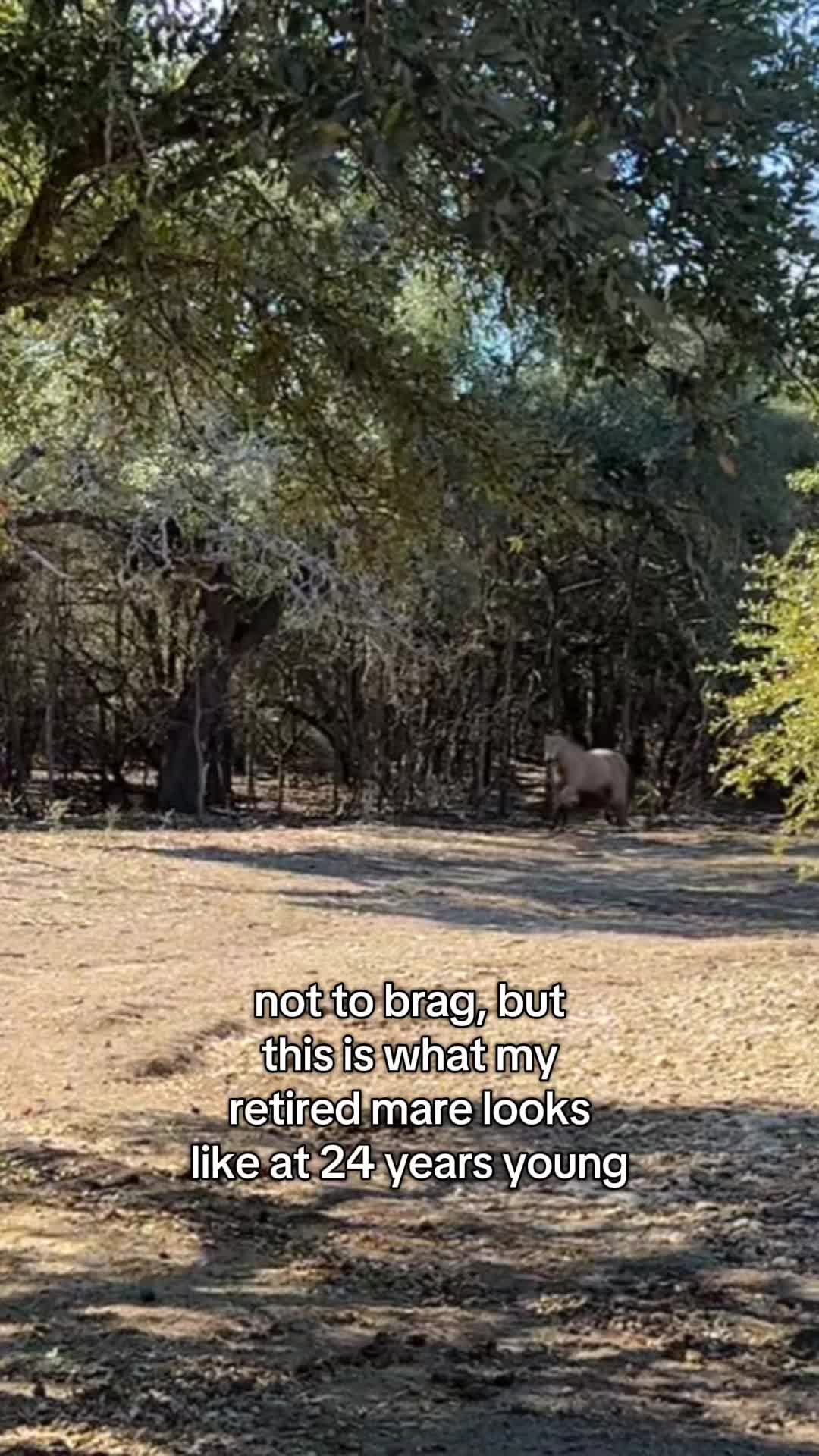 @Robin