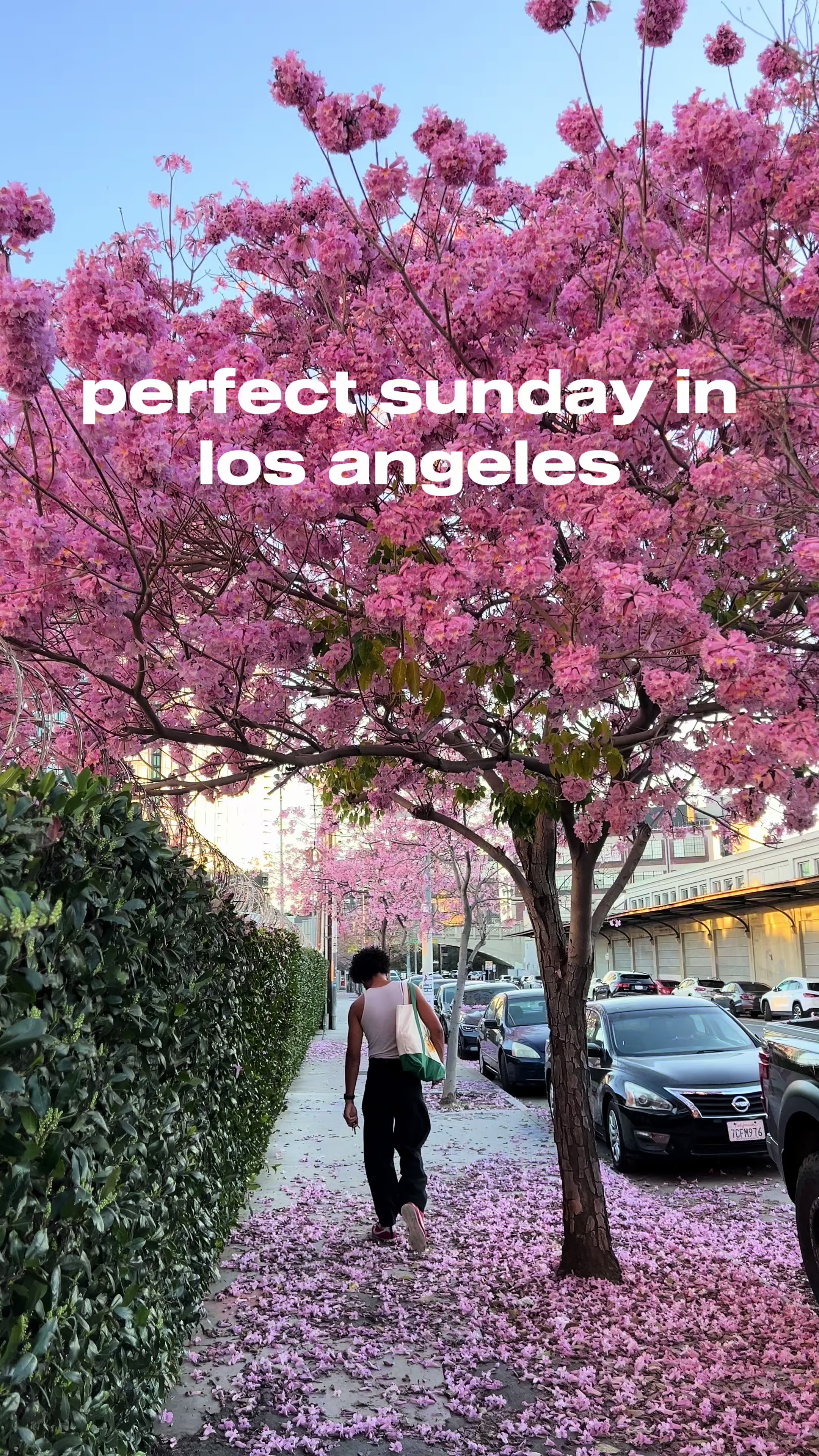 @lo