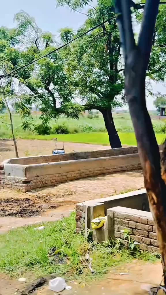 @جٹ- محکمہ 🐆