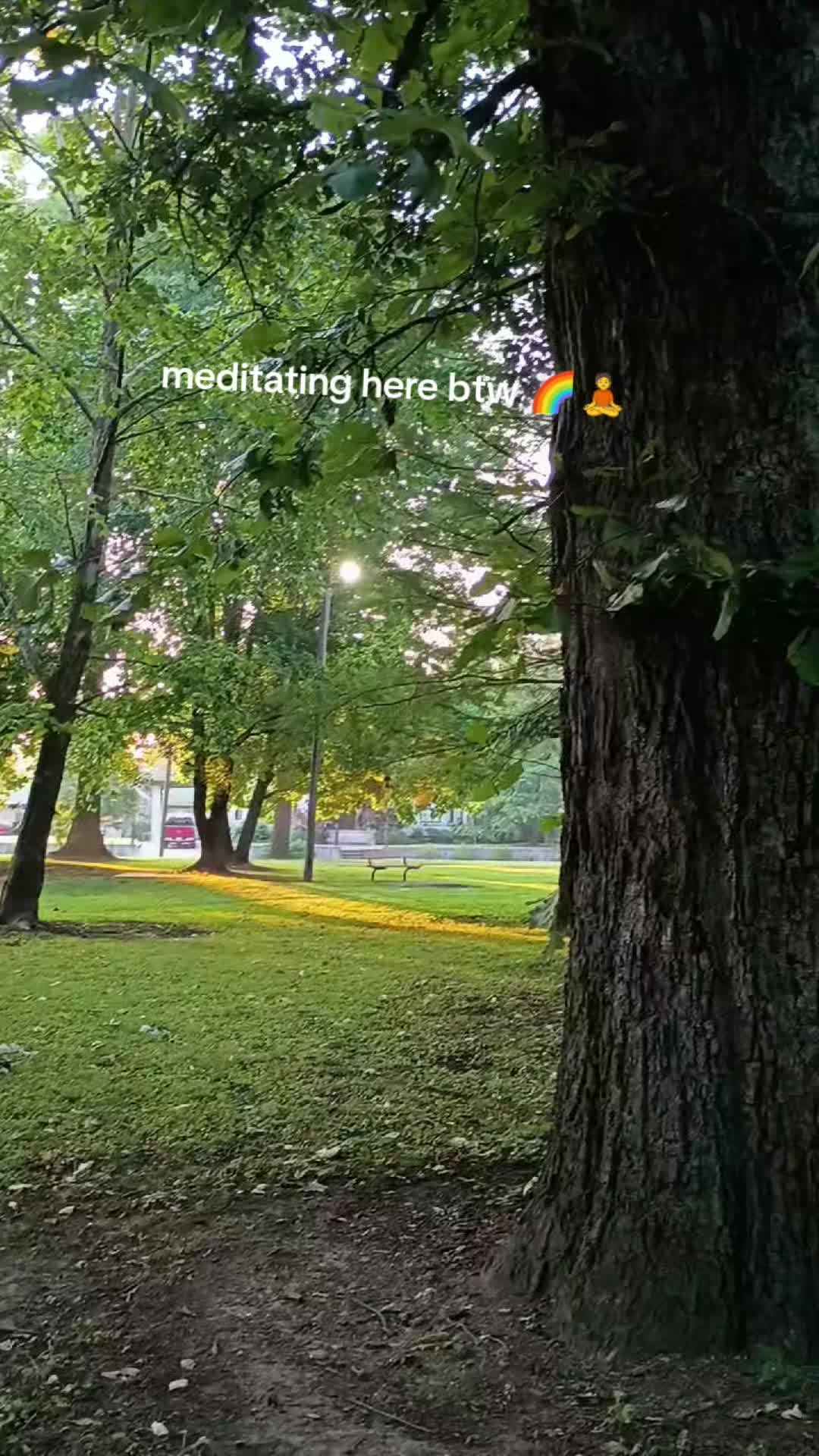 @Osirius 🌐👁️🌺