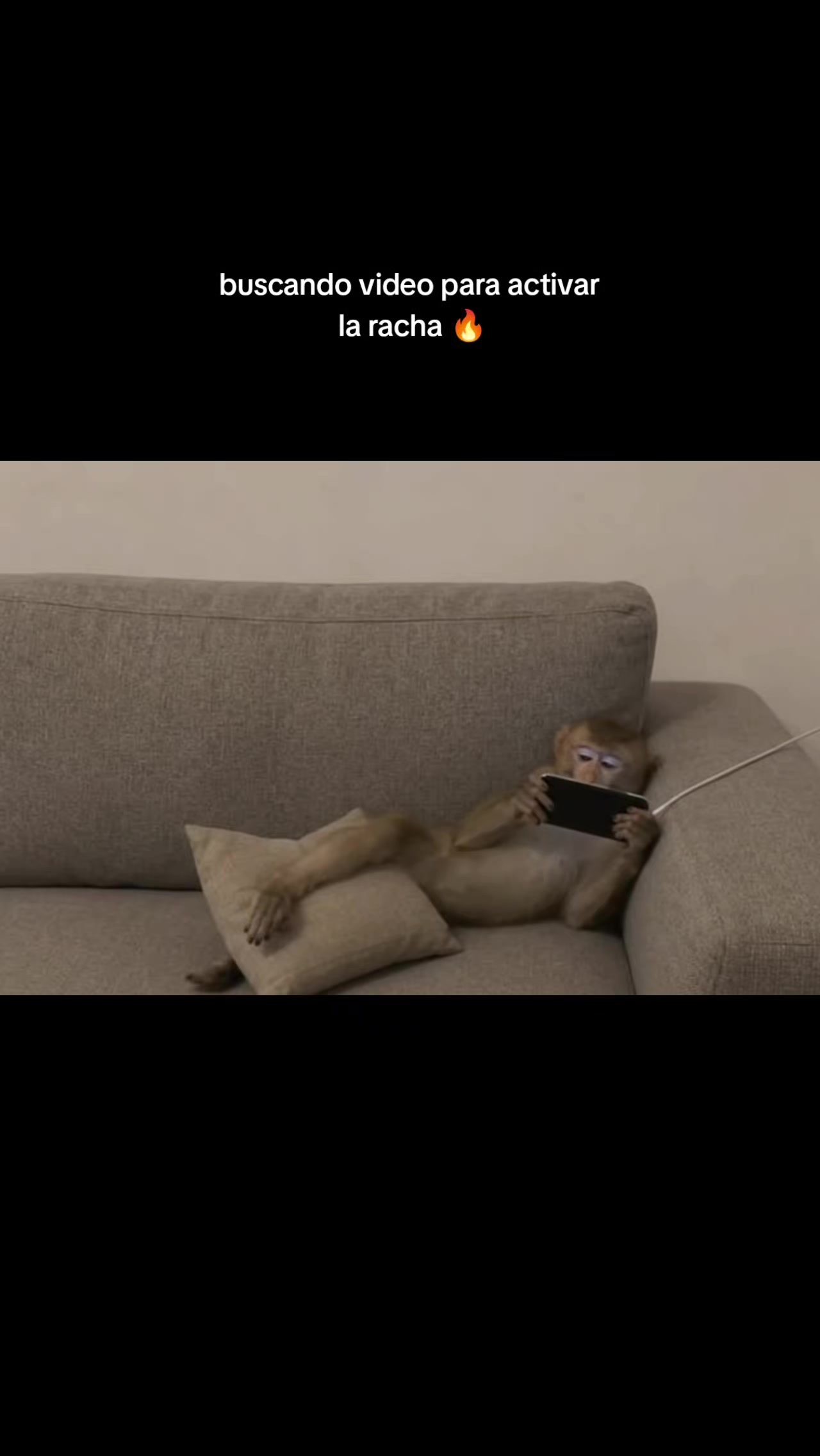 @RabPesito 🔥