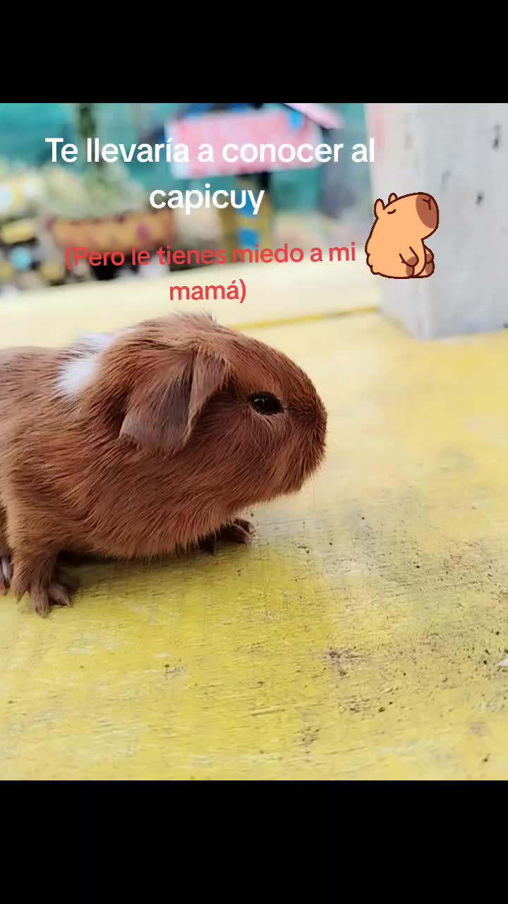 @wal_029