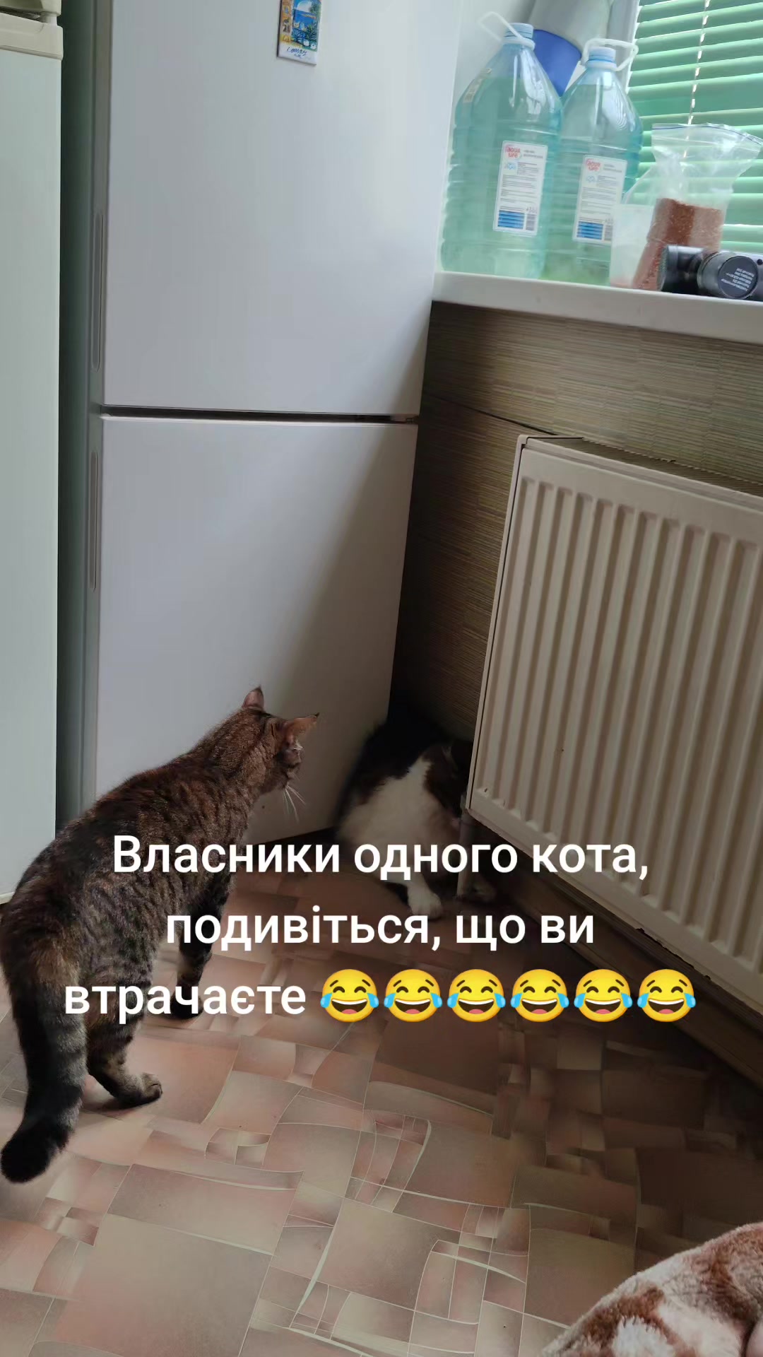 @Міледі ✓✓✓
