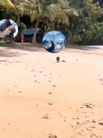 @mack fishing