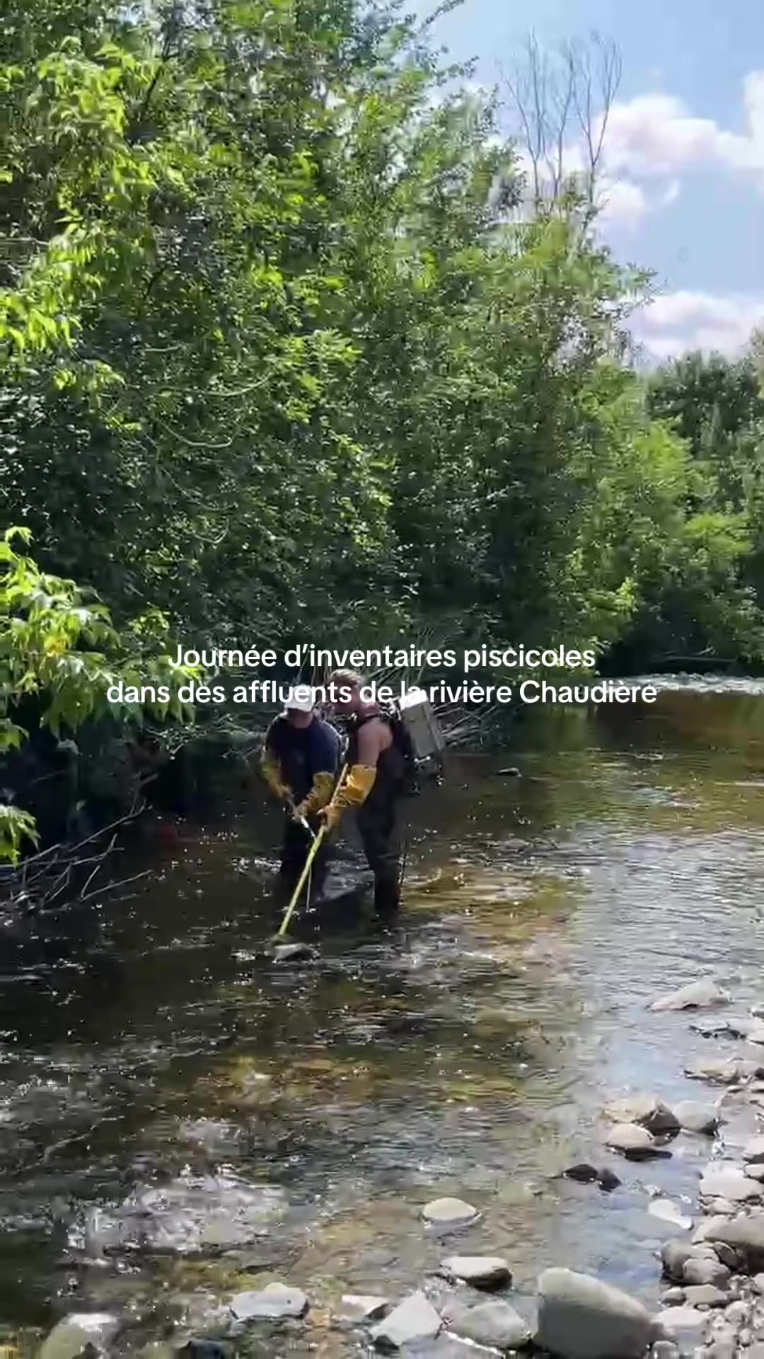 @COBARIC 🌊 Rivi&egrave;re Chaudi&egrave;re