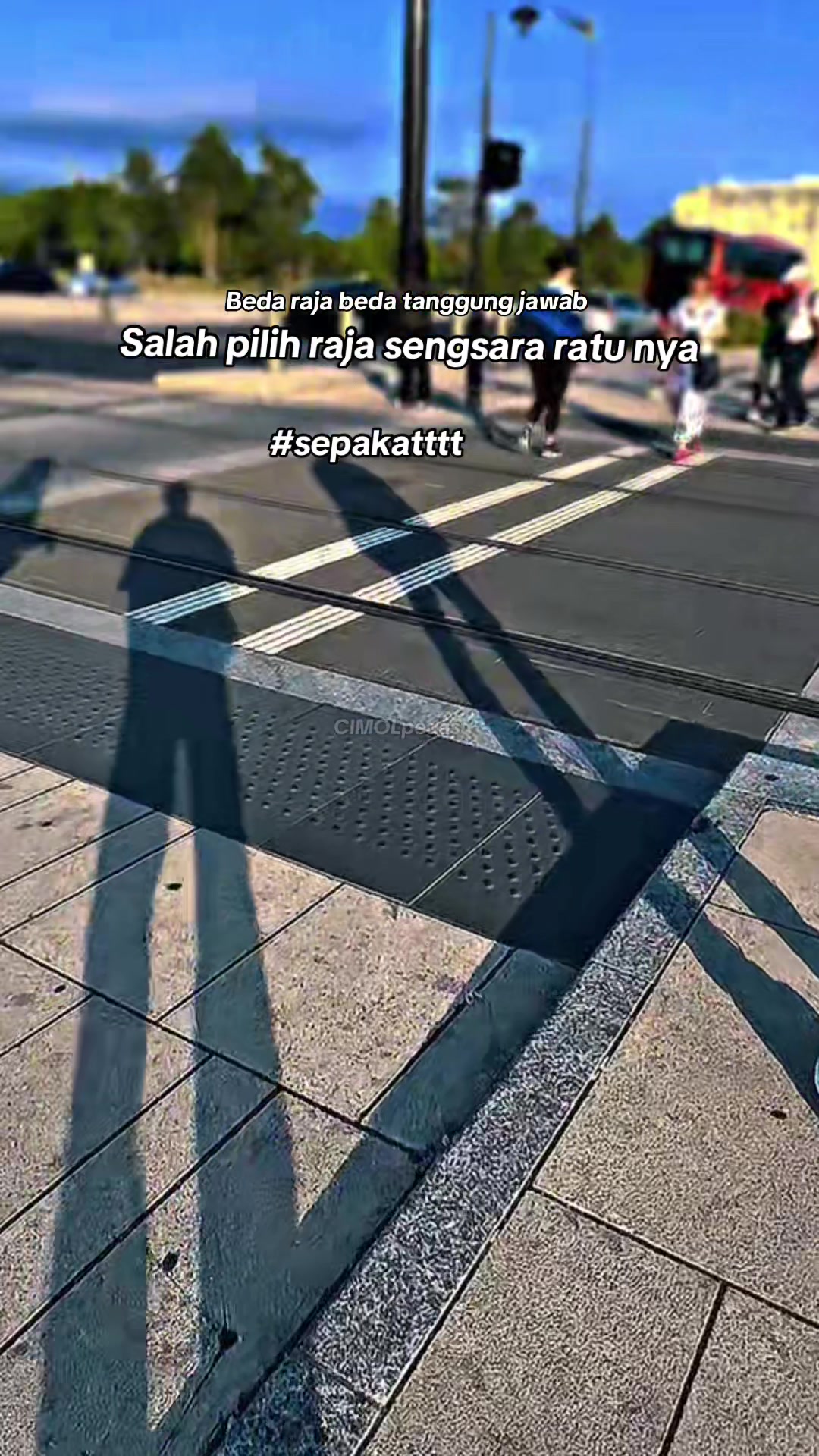 @CIMOLpedas🐬