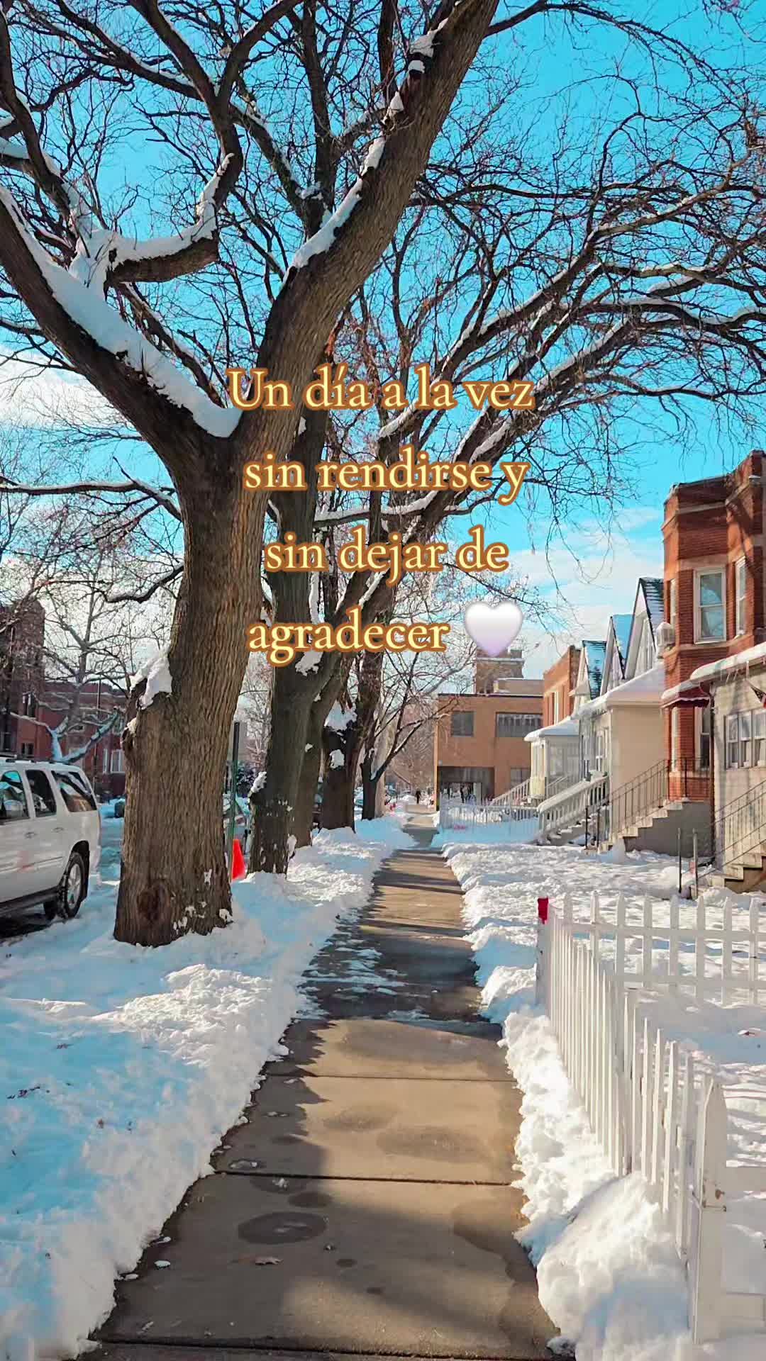 @Yaneth Ortega