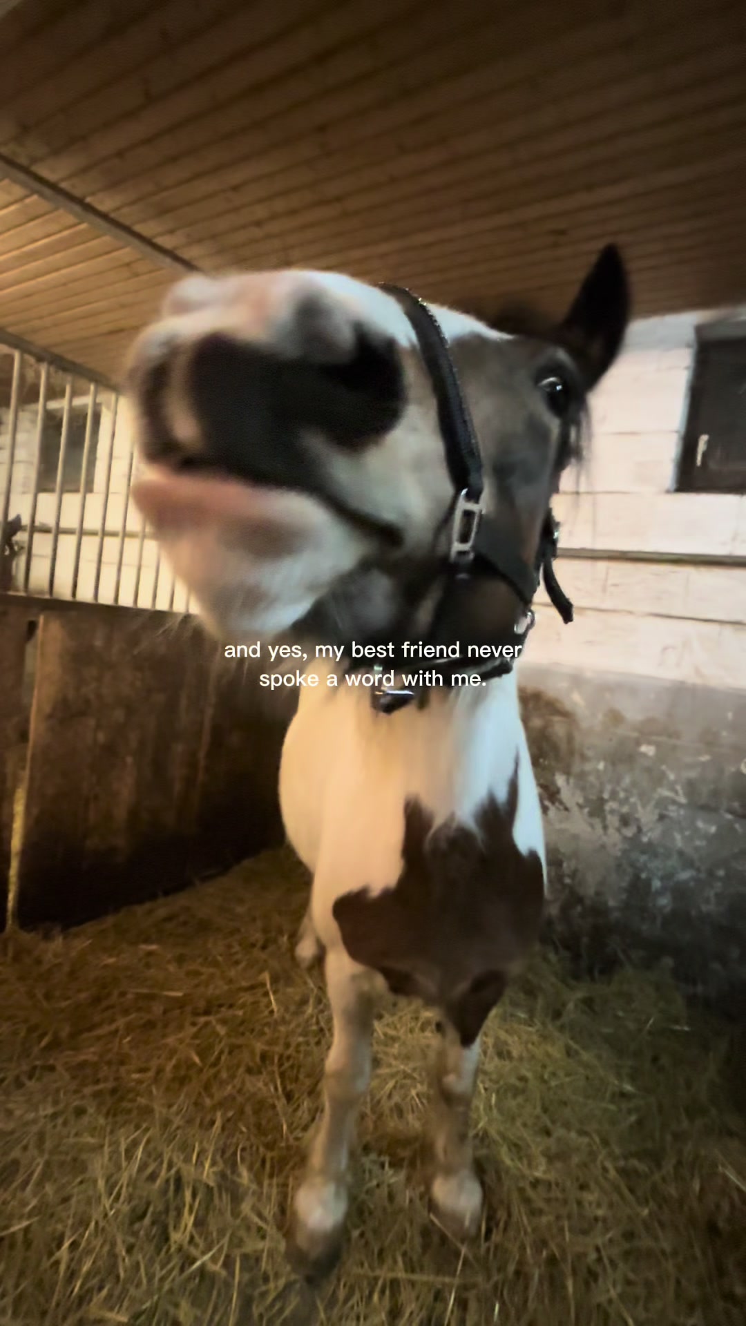 @𝘍𝘪𝘯𝘫𝘢 🪐