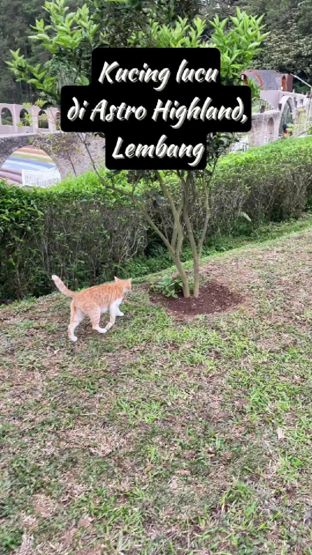 @kevinpannadharo