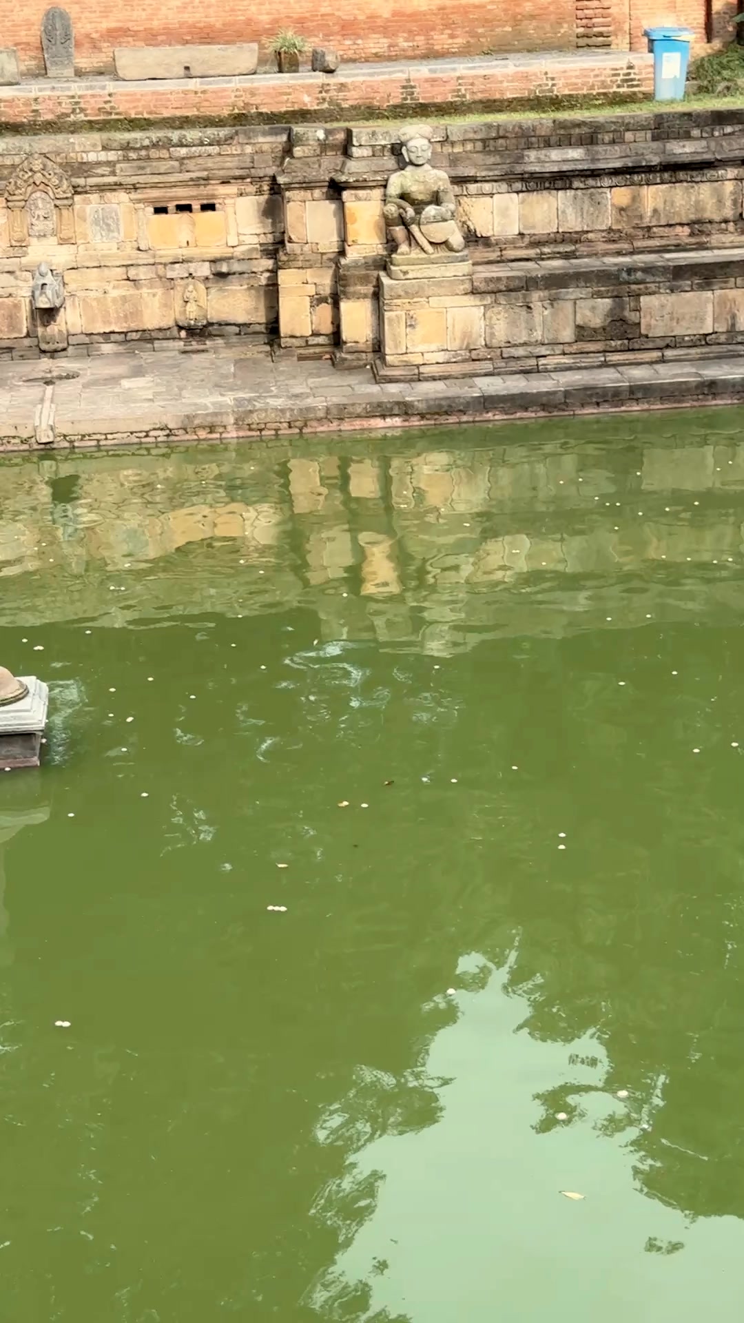 @sujita sah 🦢