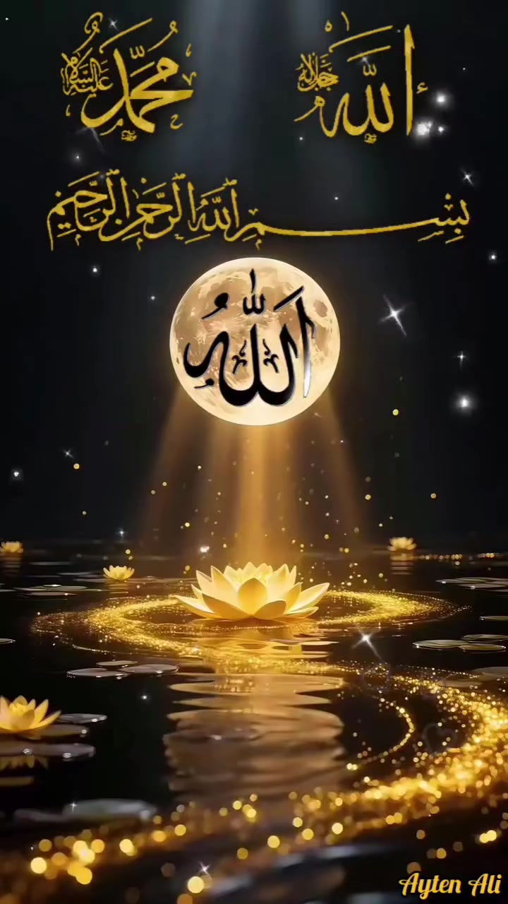 @ayaz21_2135