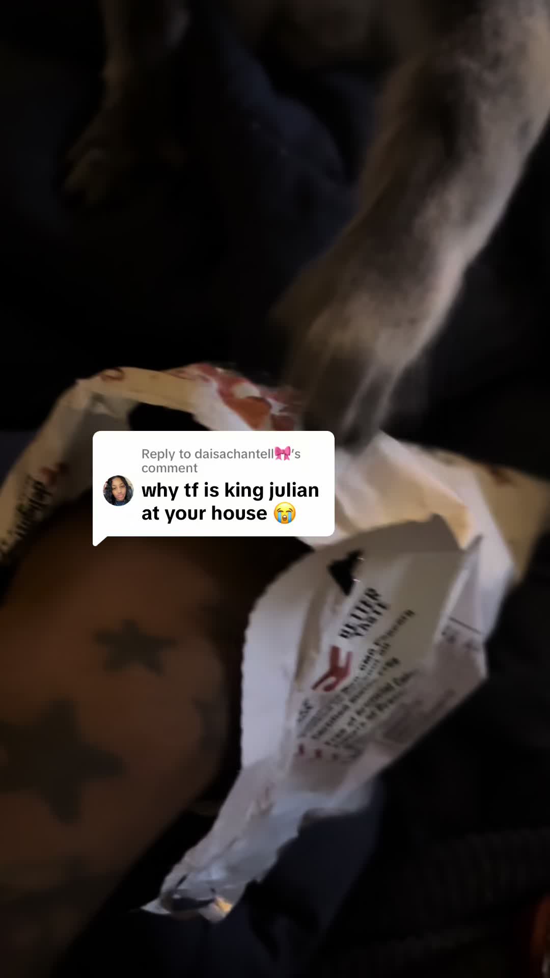 @Billy The Bad Ass Horse