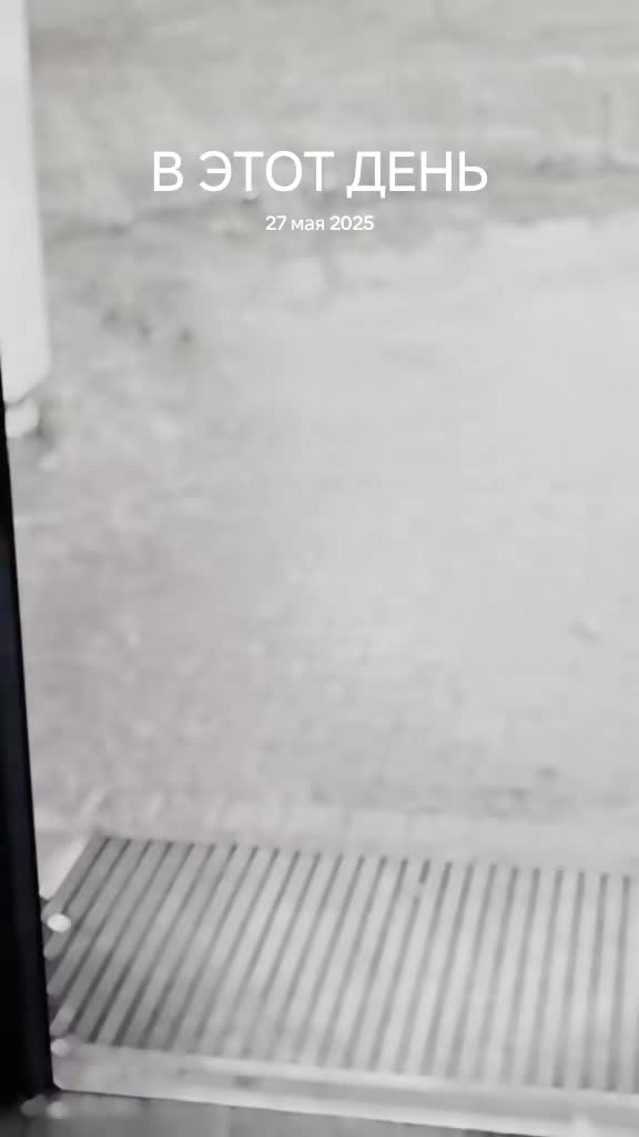 @𝔙𝔢𝔲𝔢𝔯 𝔚𝔦𝔫𝔡🌪