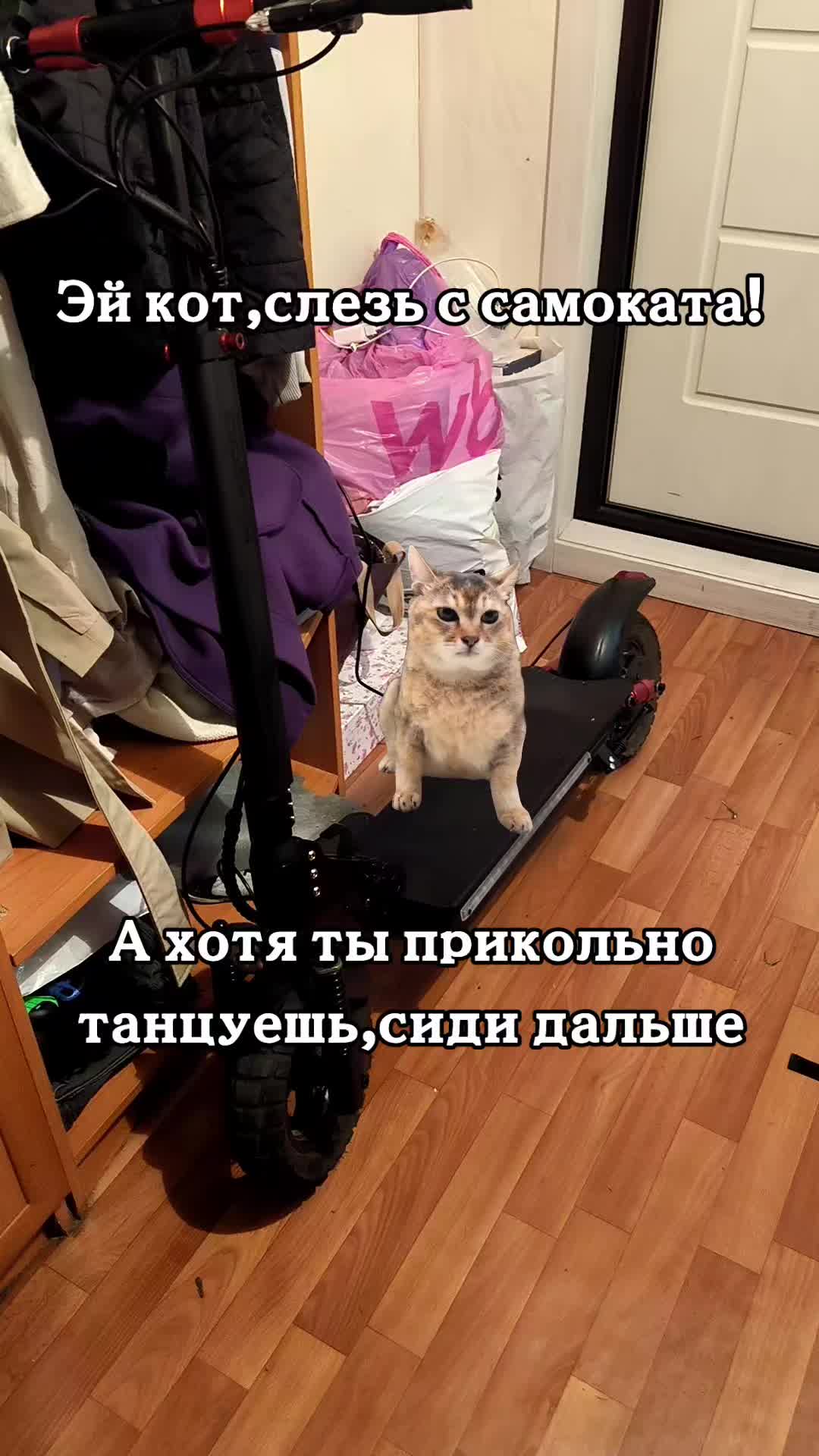 @𝐔𝐒𝐒𝐓