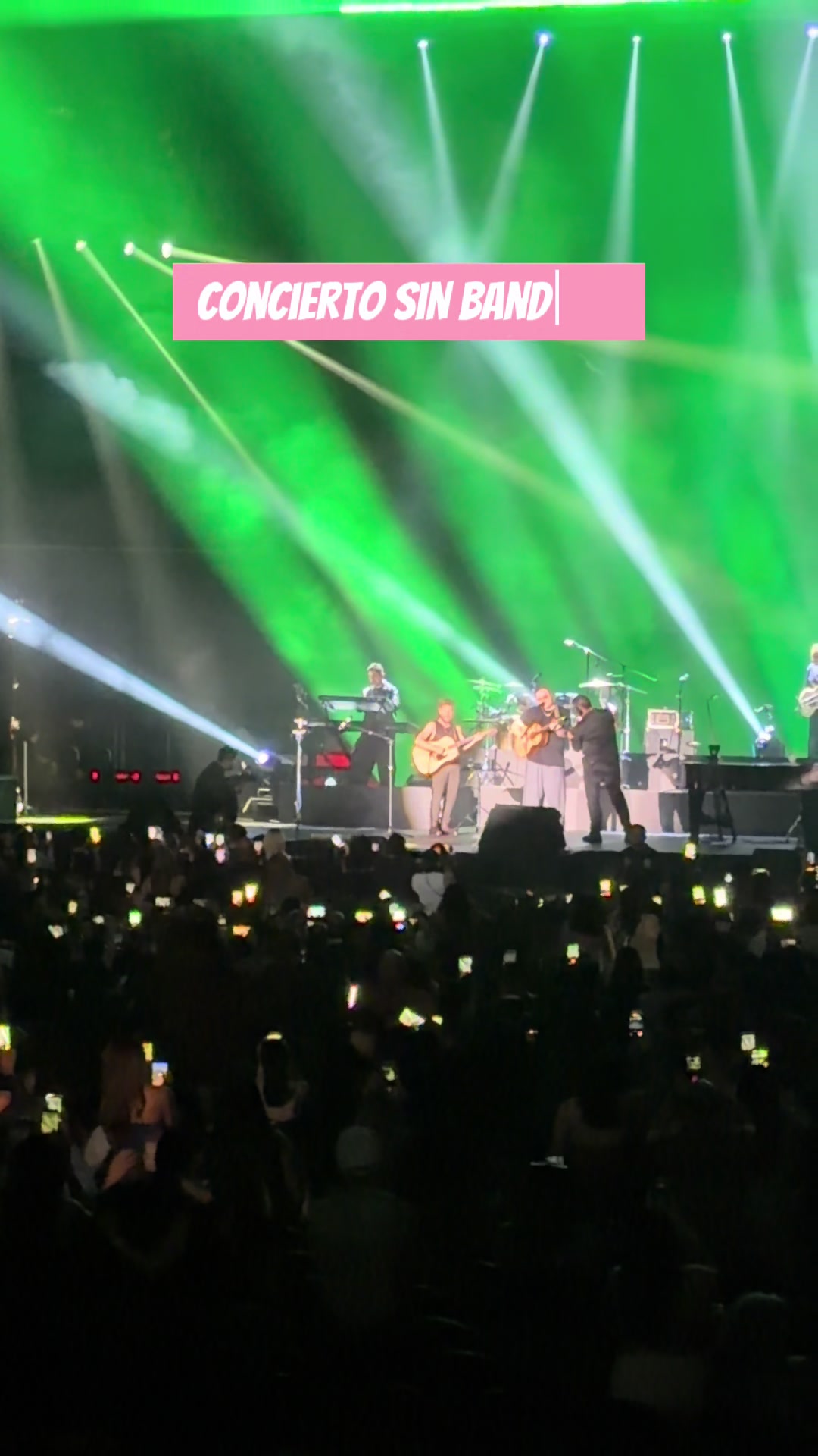 @Miau Creations