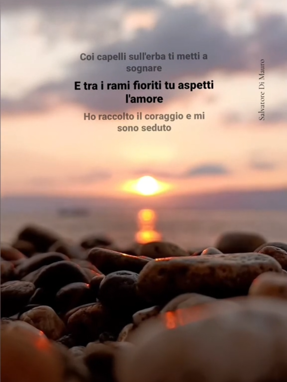 @Salvatore Di Mauro