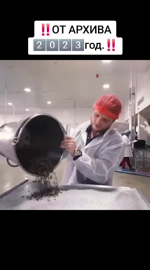 @Steikatas1