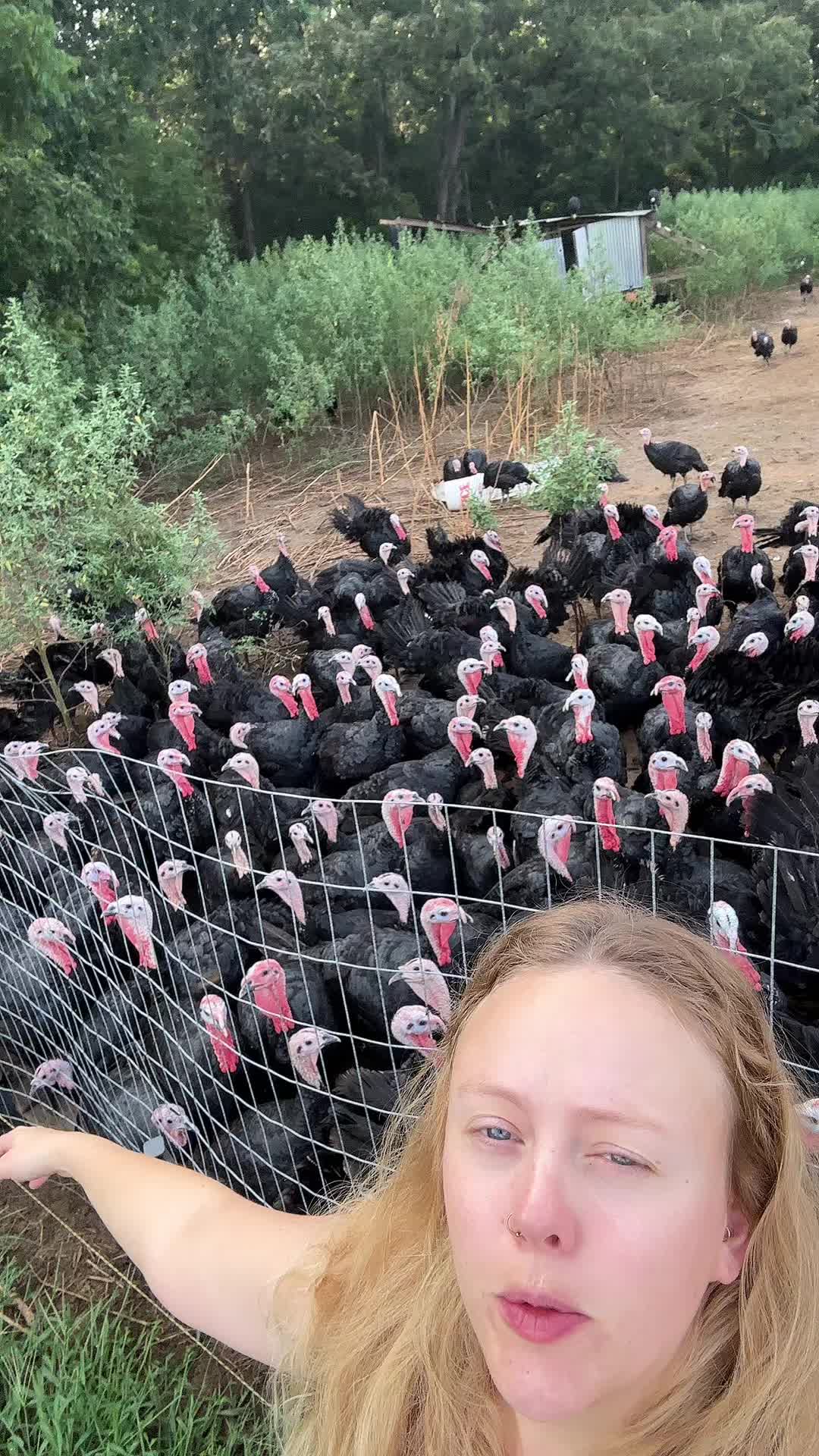 @farmerandtheharpiist