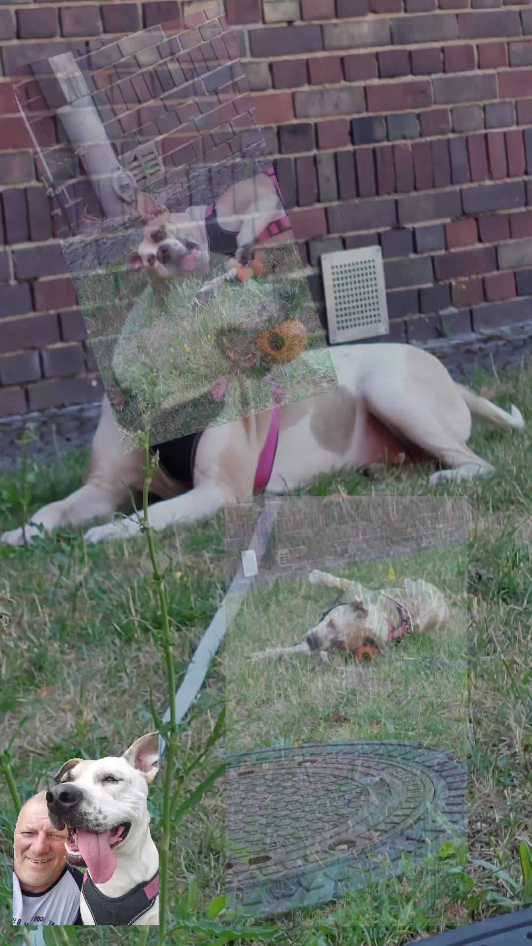 @deleted_user