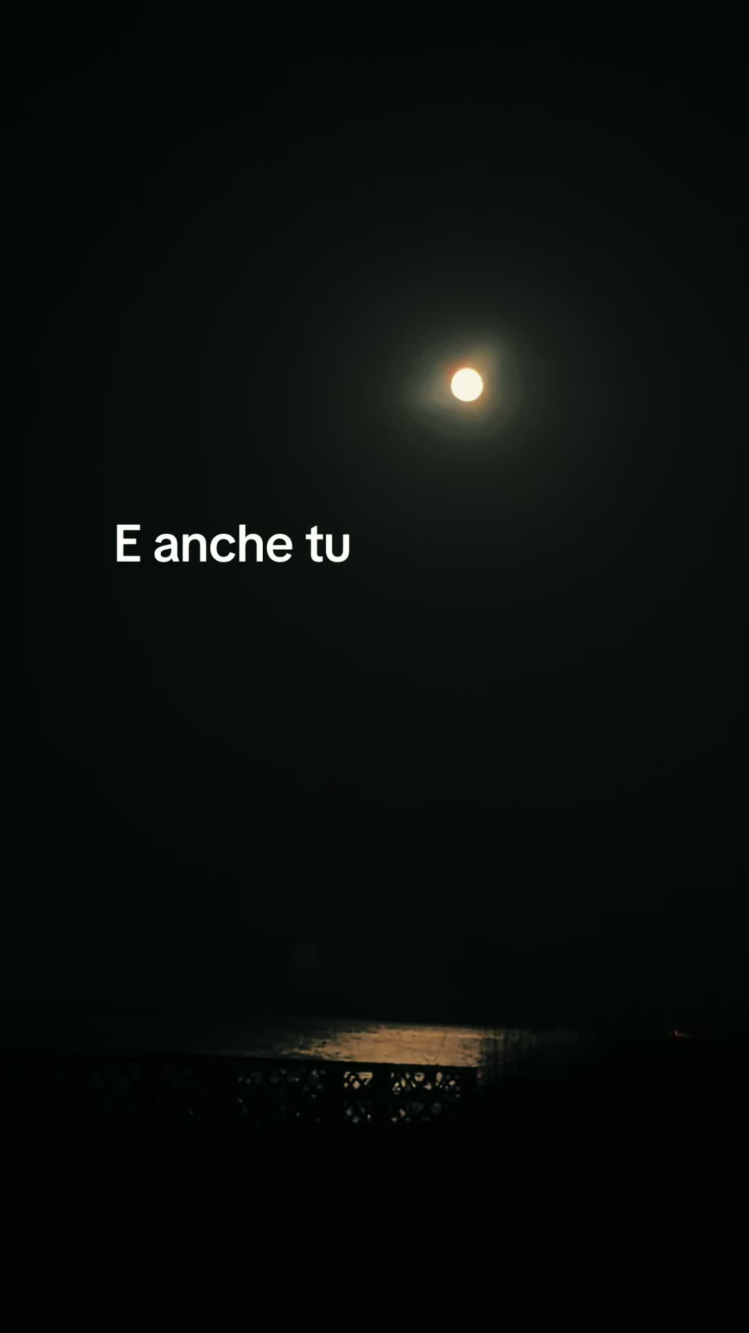 @Lidia Figliolia