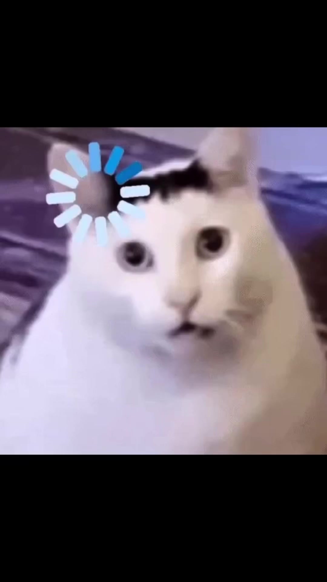 @SheyMarie2473🫶🏻