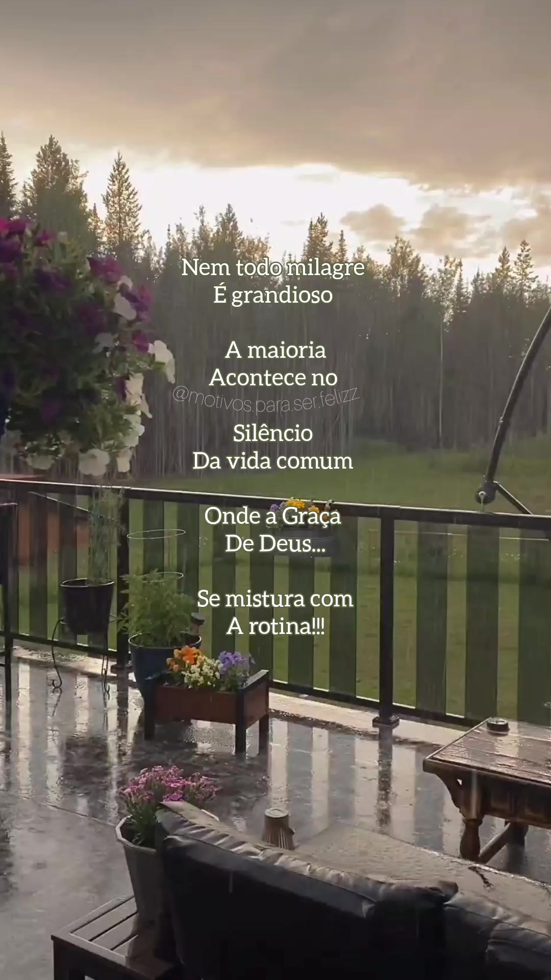 @Motivos para ser feliz