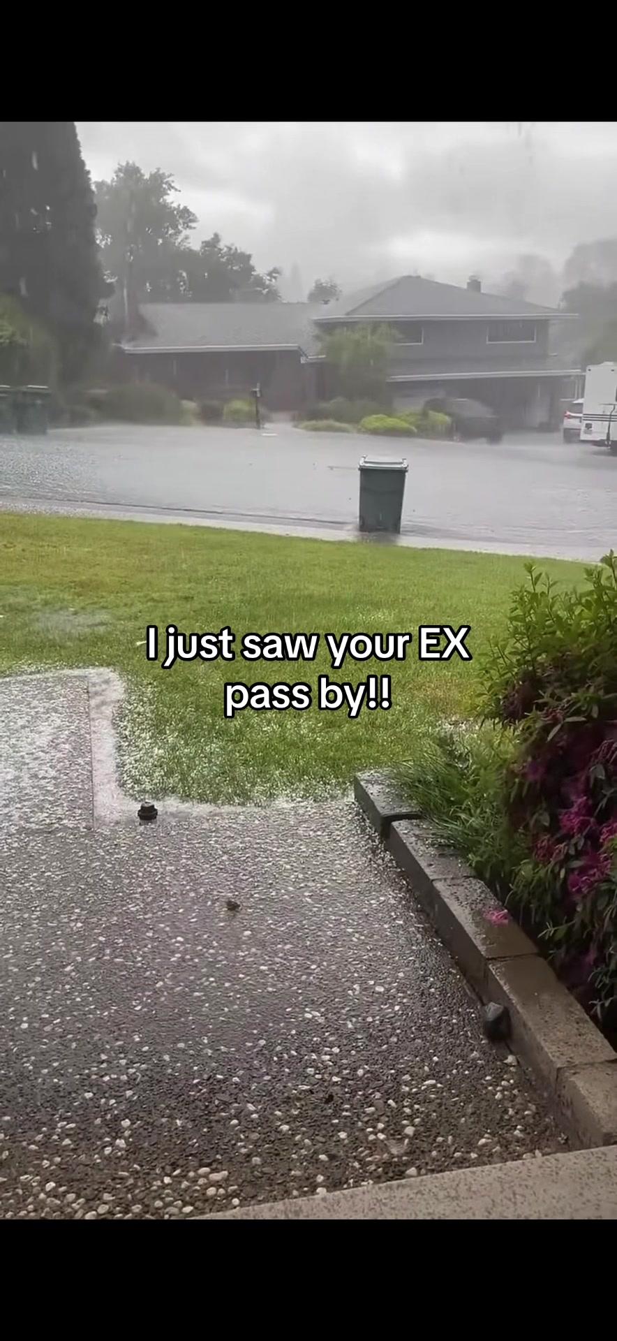 @Tristin king