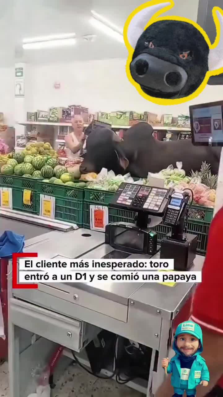 @Jose Molina influencer