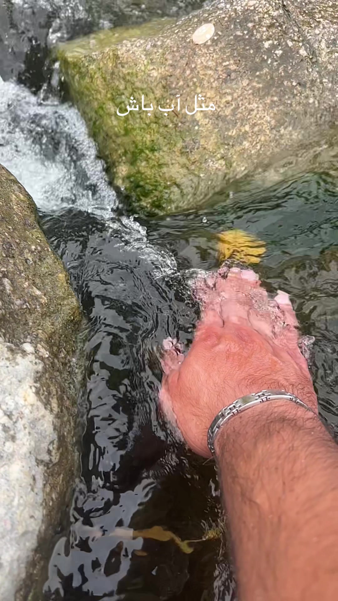 @🇫🇷RishadNoor🧿🌿رشاد نور🇦🇫