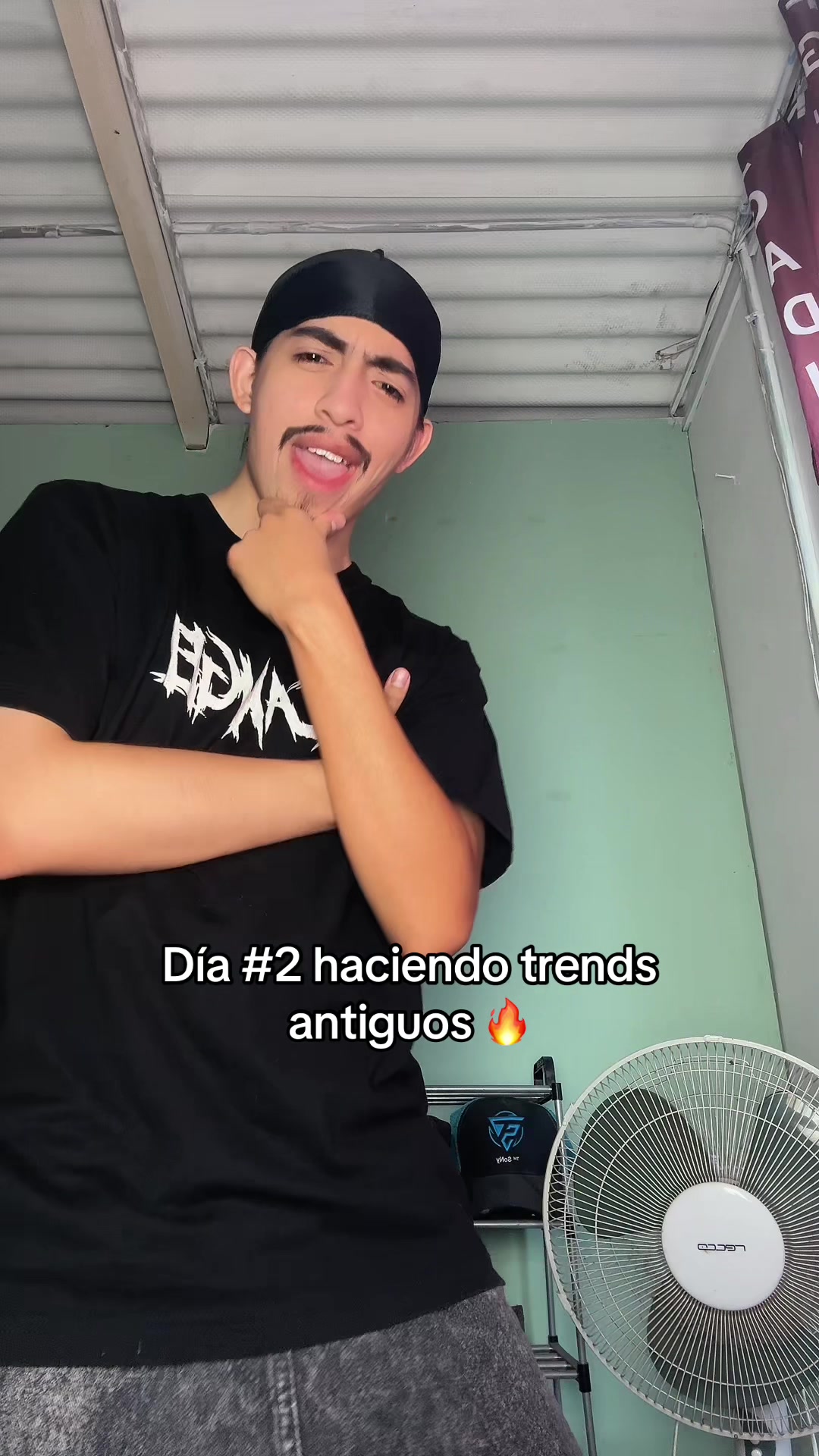 @Franzz || 🕺