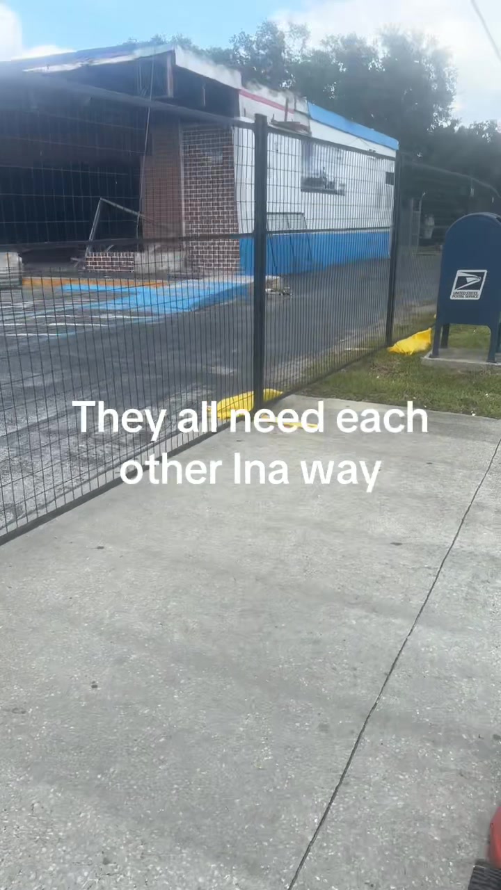 @Xavier Serrano
