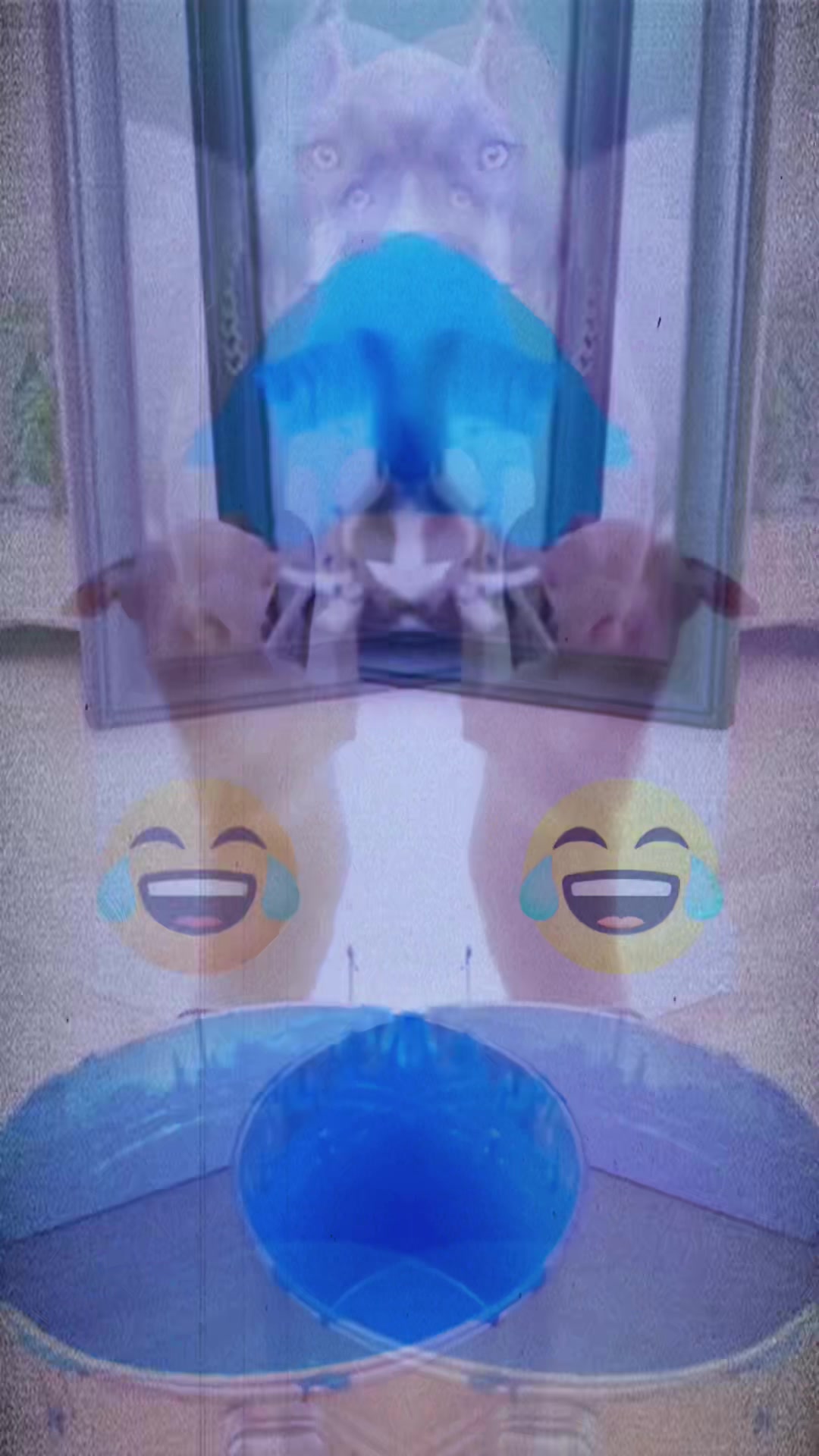 @Slipper Flipper
