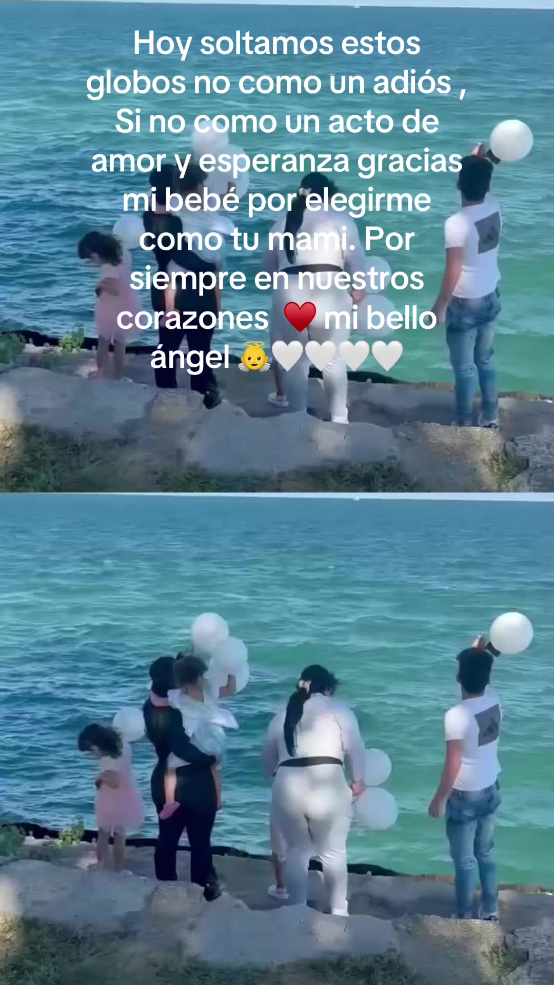 @lagochita.sc