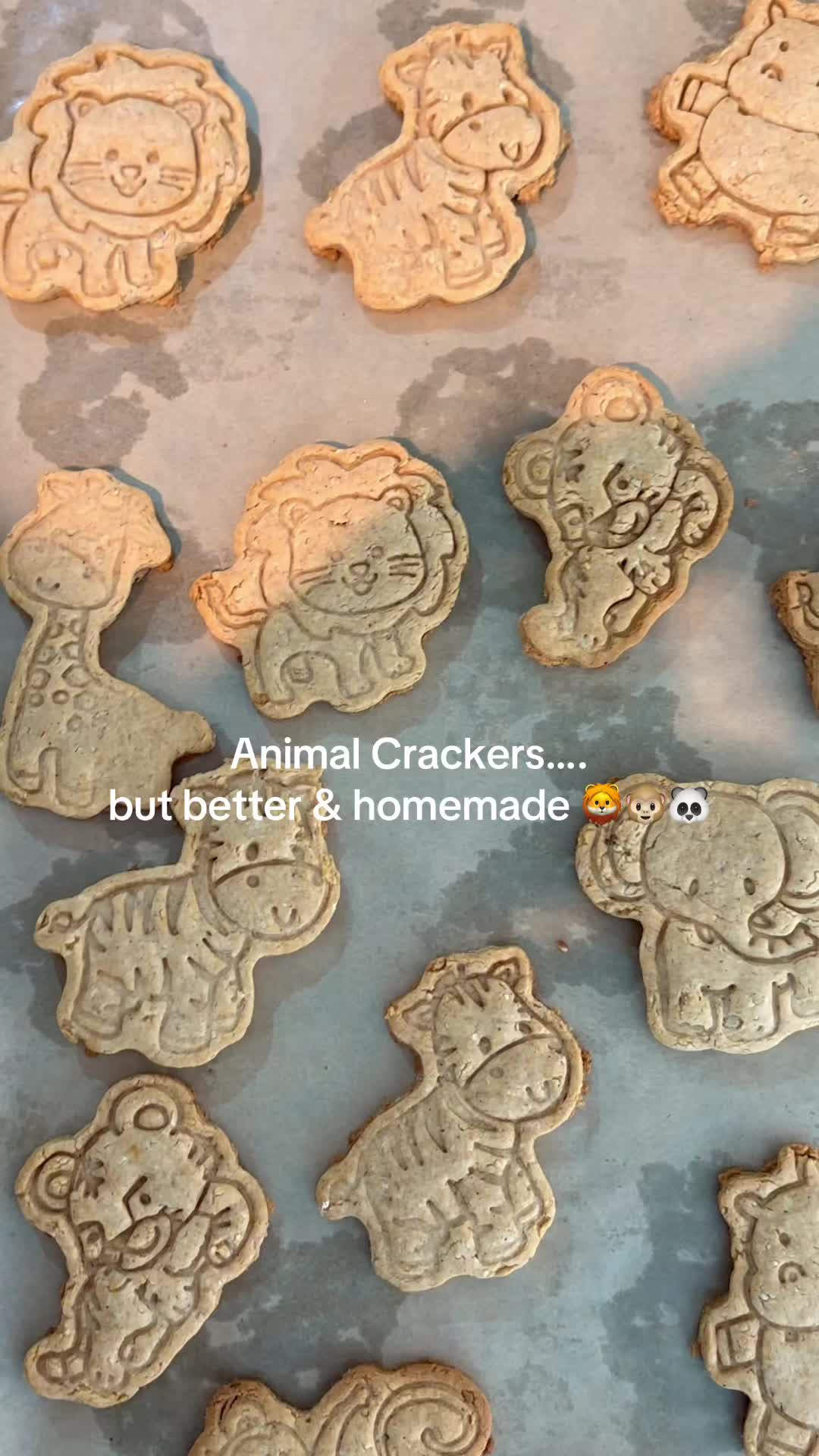 @Eatingwithzion