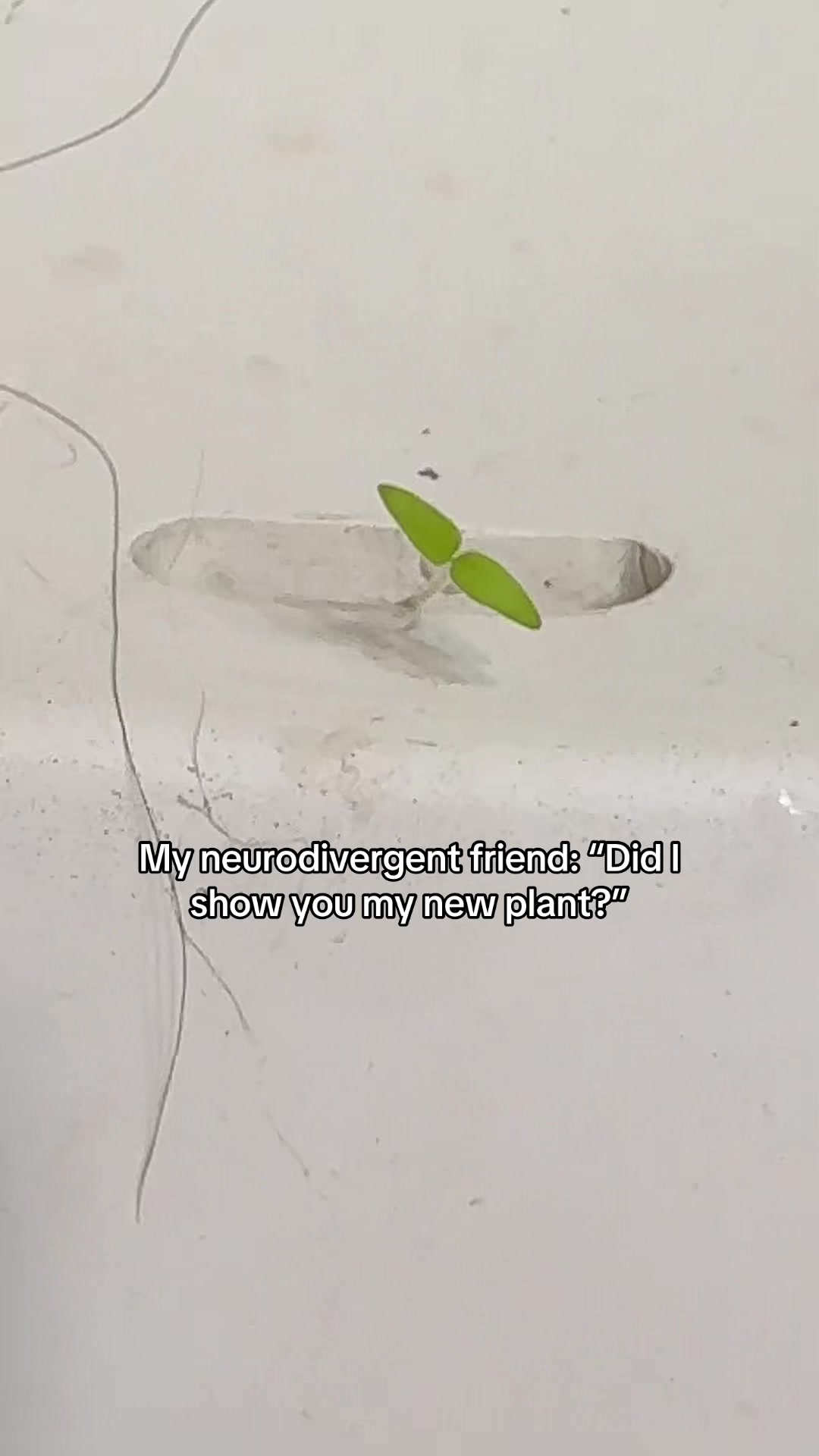 @Grace 𓆝𓆜