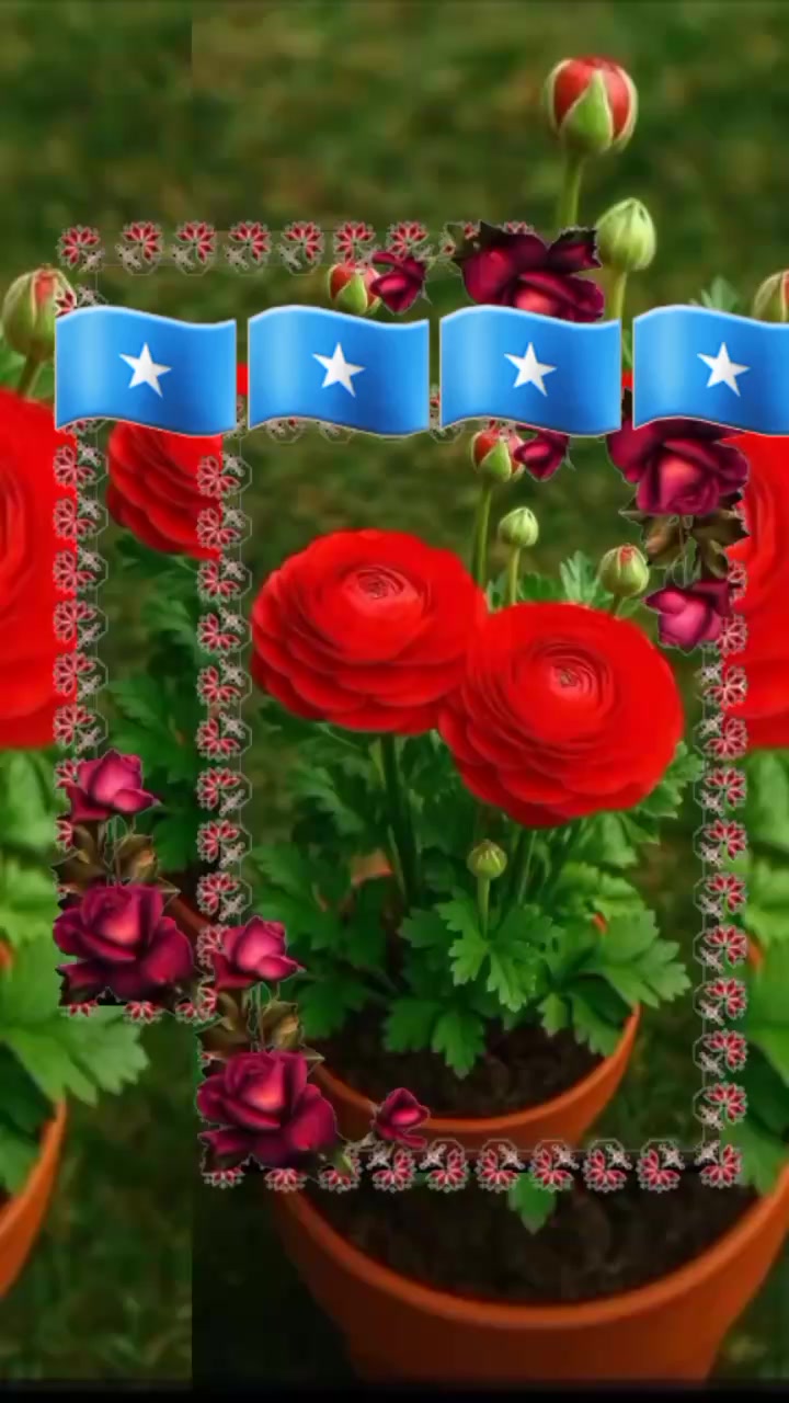 @○p¡ CarL○z 👤