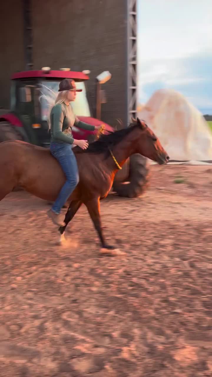 @ThunderGallops